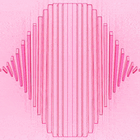 GIF by Shurly
