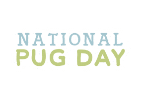 Dog Pug Sticker by Natural Dog Company