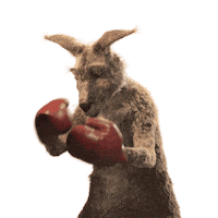 Kangaroo Sticker by Die Känguru Chroniken