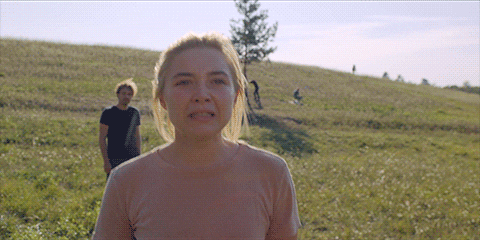 Midsommar GIF by A24