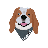 Dog Bandana Sticker
