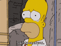 homer simpson GIF