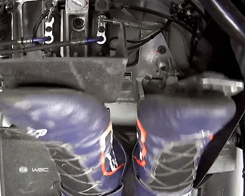 Lets Go Ok GIF by FIA World Rally Championship