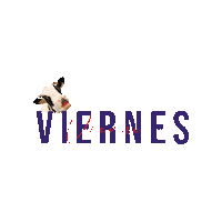 Viernes Calidad Sticker by Básculas Quiñonez