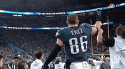 Super Bowl Football GIF by NFL