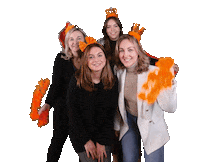 VanSpronsenMakelaars van spronsen van spronsen makelaar makelaar hendrik ido ambacht Sticker