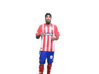 Soccer Goal Sticker by Atlético de San Luis
