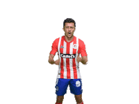 Soccer Goal Sticker by Atlético de San Luis