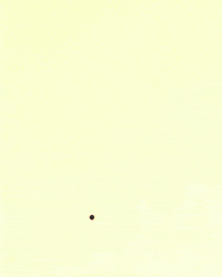 Hiphop Outnow GIF by P.J. Pacifico