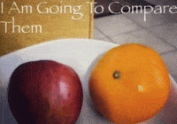 Comparing Its Like GIF