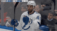 Ice Hockey Sport GIF by NHL