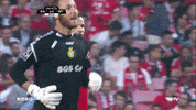 Sl Benfica Thumbs Up GIF by Sport Lisboa e Benfica