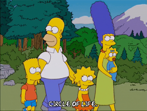 Lisa Simpson Life GIF by The Simpsons