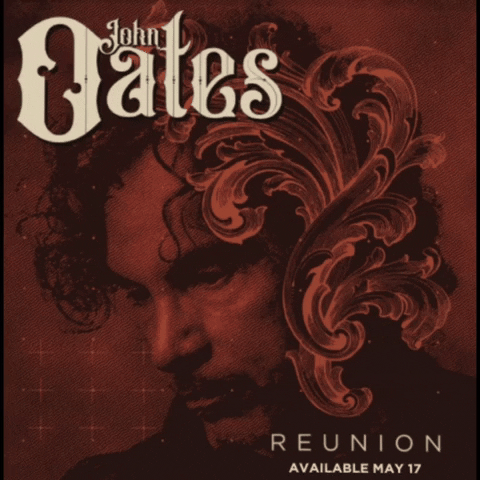 Hall And Oates Reunion GIF by John Oates