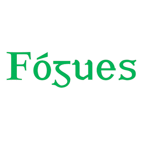 TheFogues music singer song ireland Sticker