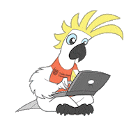 Study Working Sticker by Charles Sturt University