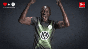 Wecbl GIF by Bundesliga