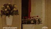GIF by Hallmark Mystery