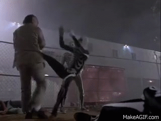 karate kid GIF