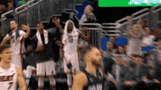 Miami Heat GIF by NBA