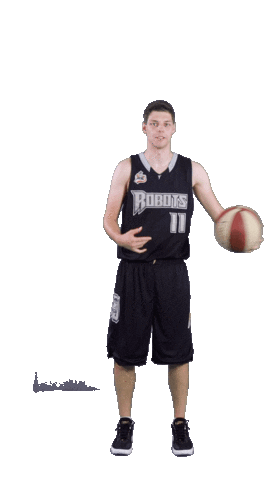 acslsports giphyupload basketball ball circle Sticker