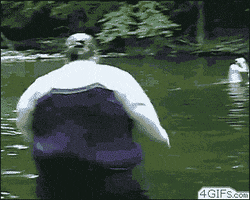 fat people doing things GIF