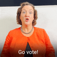 Go vote!