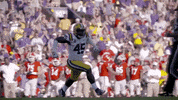 Lsu Football Lsufb19 GIF by LSU Tigers