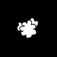 cliffandmax dog max poodle cliff GIF