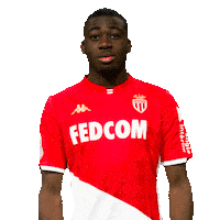 Ligue 1 Football Sticker by AS Monaco