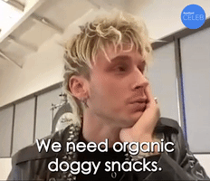 Organic Doggy Snacks