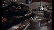GIF by Film School Shorts