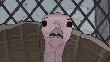 season 1 cats GIF by Animals