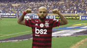 Fla GIF
