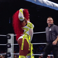 Wwe Smile GIF