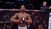 Sport GIF by UFC