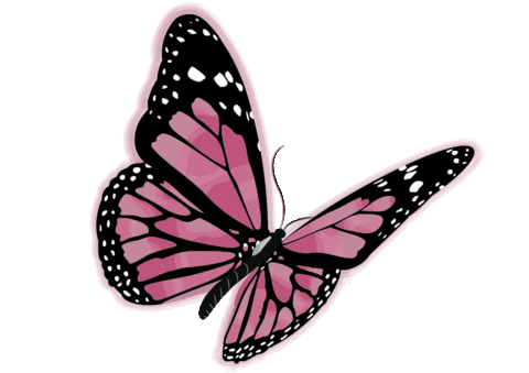 Pink Mariposa Sticker