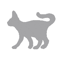 Sphynx Cat Sticker by Rouge Delave