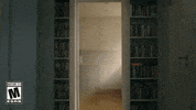 Conan The Barbarian GIF by Funcom