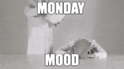 Tired Sleepy GIF by ostrichpillow