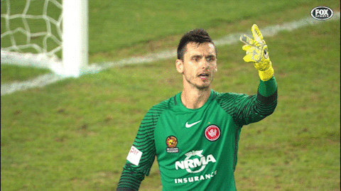 wswanderersfc giphyupload football celebration goal GIF