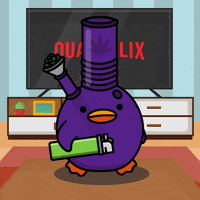 Quacks Cartoon Duck GIF