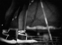 herbert brenon GIF by Maudit