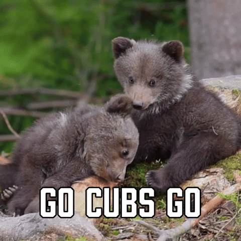 Go Cubs Go
