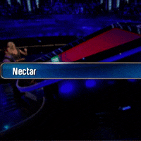 GIF by Game Show Network