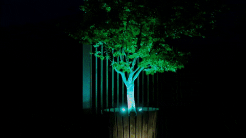 Handigelamp giphyupload handigelamp tuinspots GIF