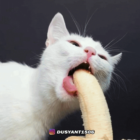 Broken Heart Love GIF