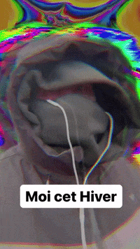 Hiver Froid GIF by systaime