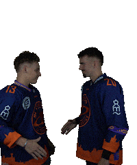 Sport Hokej Sticker by HCSTADION