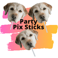 partypixsticks party dog celebration small business Sticker